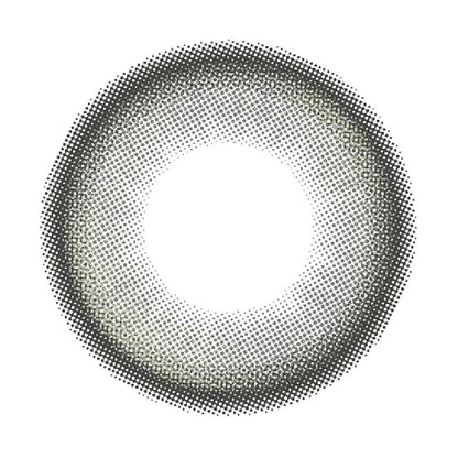 RADIRIS 1DAY LUCENT GRAY(1BOX 10SHEETS) 1