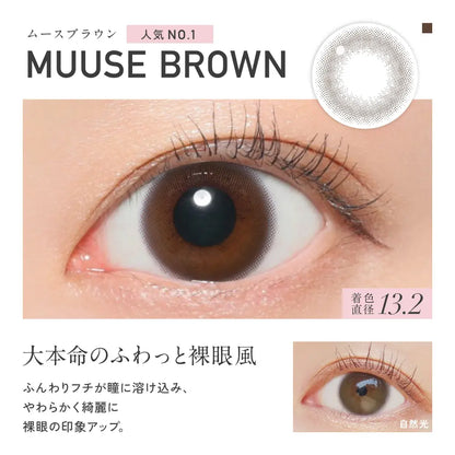 REVIA 1DAY CIRCLE MUUSE BROWN(1BOX 10SHEETS) 0