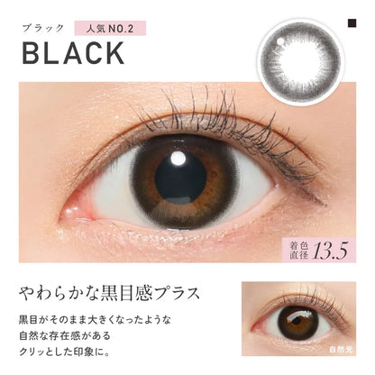 REVIA 1MONTH CIRCLE BLACK(1BOX 2SHEETS) 0