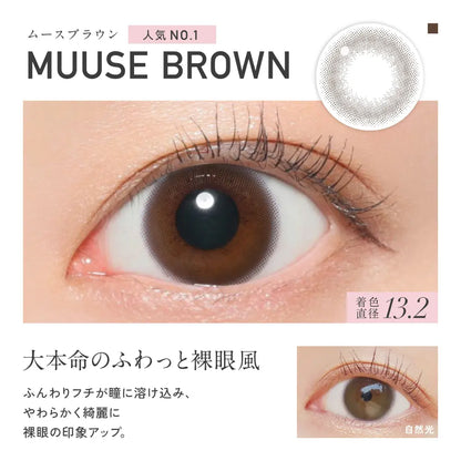 REVIA 1MONTH CIRCLE MUUSE BROWN(1BOX 2SHEETS) 0