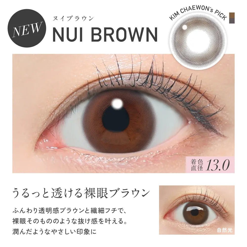 REVIA 1MONTH CIRCLE NUI BROWN(1BOX 2SHEETS) 0