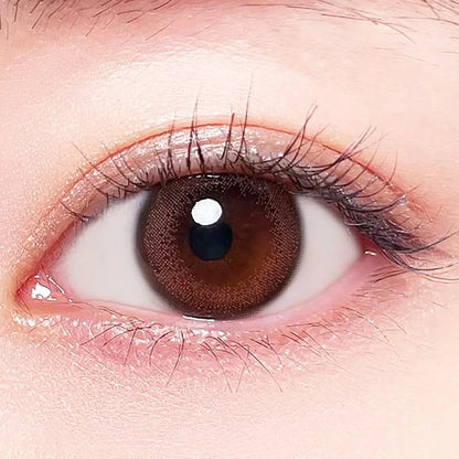 BELTA 2WEEK PINK BROWN(1BOX 3SHEETS) 1