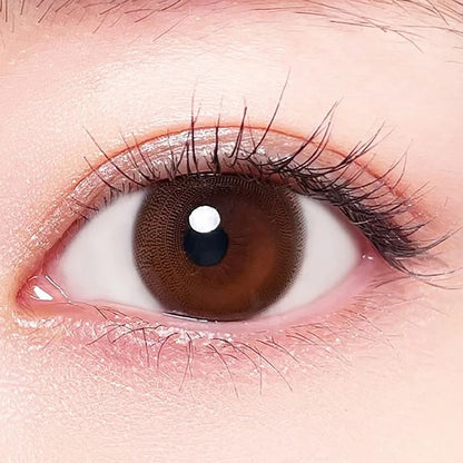 BELTA 2WEEK PURE BROWN(1BOX 3SHEETS) 1