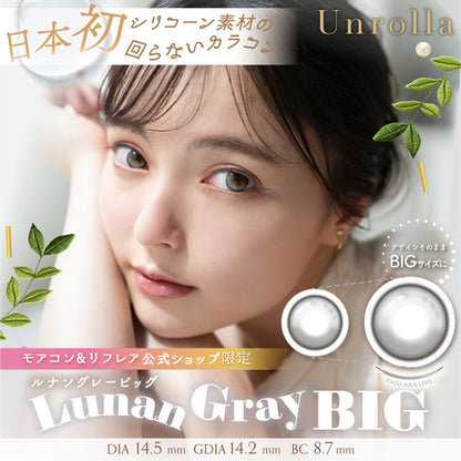 1DAY REFREAR SILICON HYDROGEL UNROLLA LUNAN GRAY BIG(1BOX 10SHEETS) MAIN IMAGE