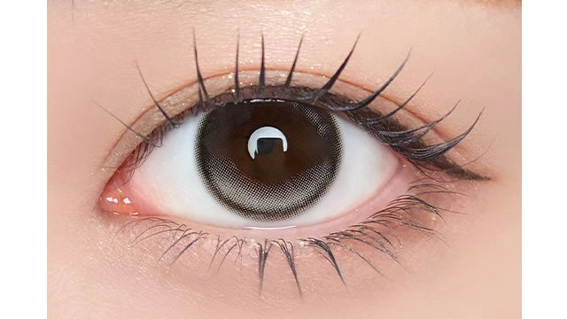 1DAY REFREAR SILICON HYDROGEL UNROLLA LUNAN GRAY(1BOX 10SHEETS) 0