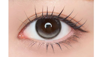 1DAY REFREAR SILICON HYDROGEL UNROLLA LUNAN GRAY(1BOX 10SHEETS) 0