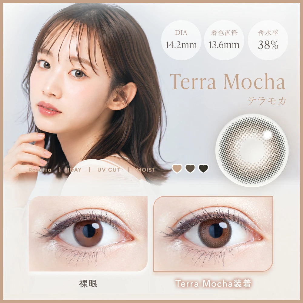 ROSALIIA 1DAY TERRA MOCHA(1BOX 10SHEETS) MAIN IMAGE