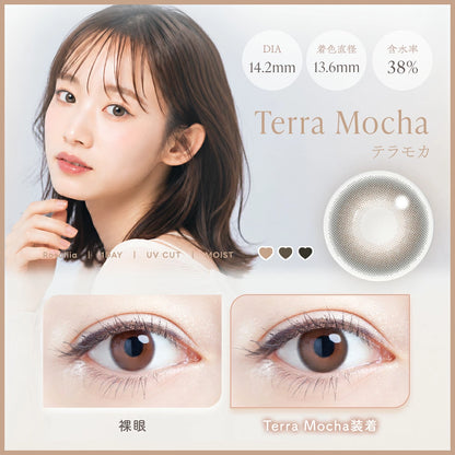 ROSALIIA 1DAY TERRA MOCHA(1BOX 10SHEETS) MAIN IMAGE