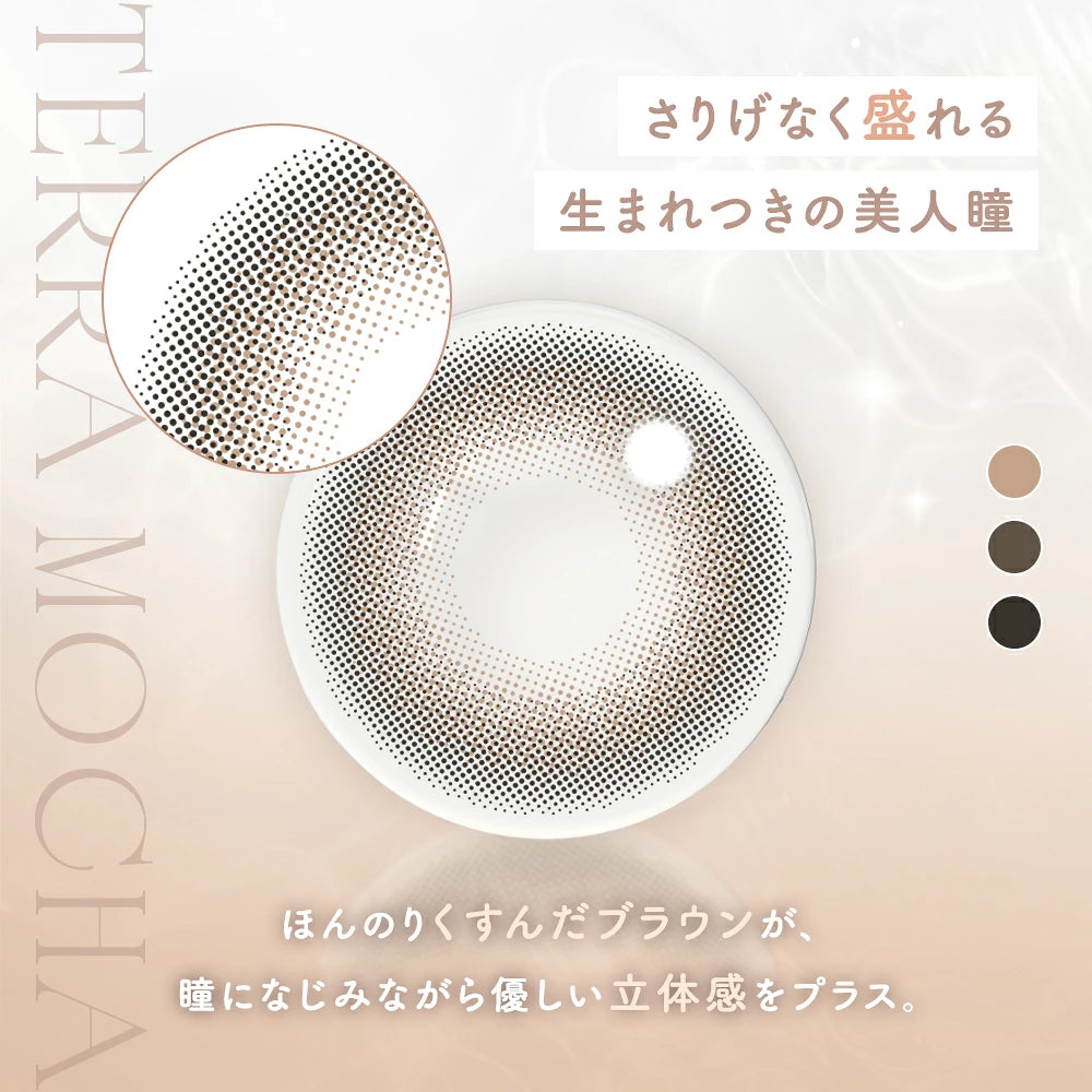 ROSALIIA 1DAY TERRA MOCHA(1BOX 10SHEETS) 0