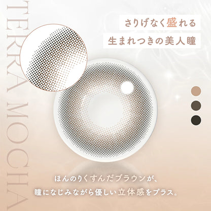 ROSALIIA 1DAY TERRA MOCHA(1BOX 10SHEETS) 0