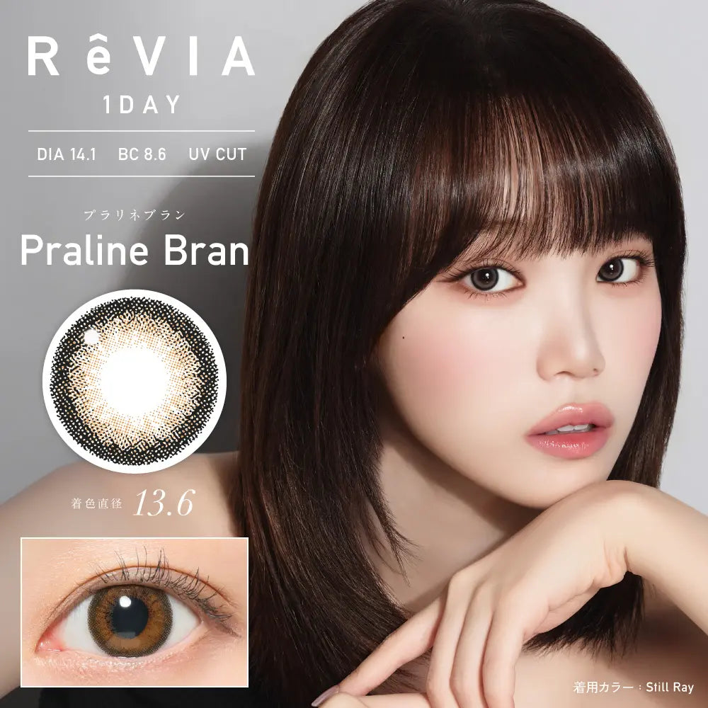 REVIA 1DAY COLOR PRALINE BRAN(1BOX 10SHEETS) MAIN IMAGE