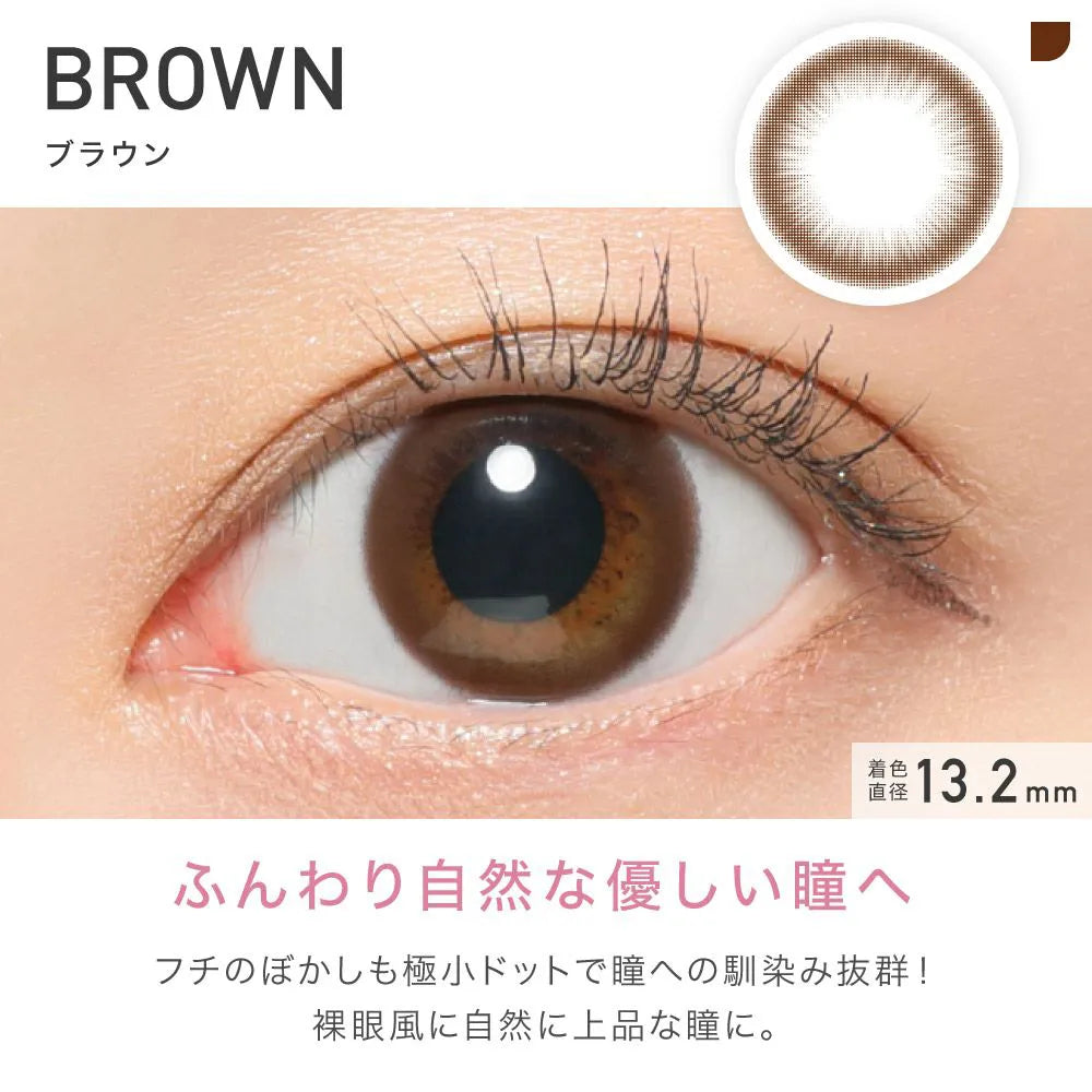 REVIA 1MONTH CIRCLE BROWN(1BOX 1SHEET) 0