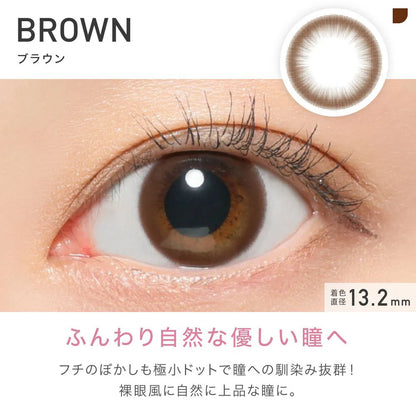REVIA 1MONTH CIRCLE BROWN(1BOX 1SHEET) 0