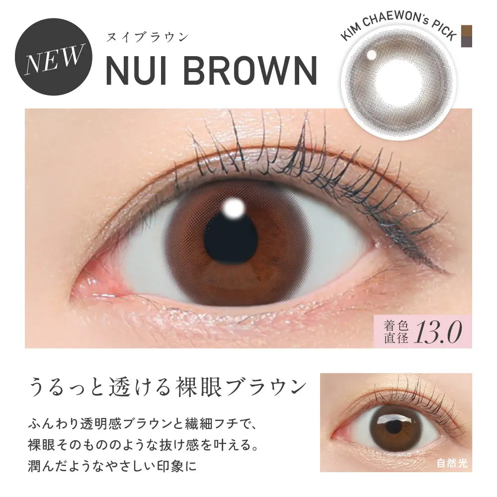 REVIA 1DAY CIRCLE NUI BROWN(1BOX 10SHEETS) 0