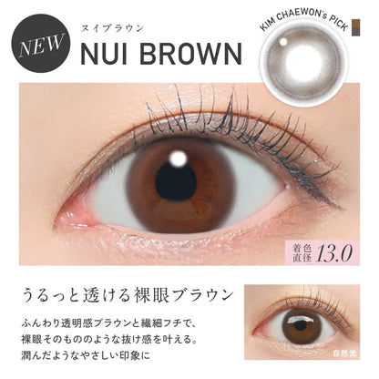REVIA 1DAY CIRCLE NUI BROWN(1BOX 10SHEETS) 0