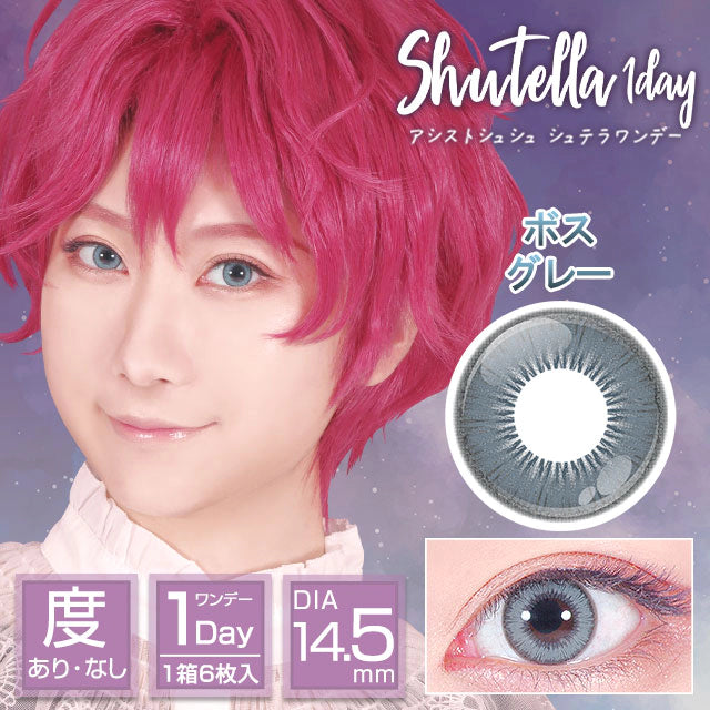 ASSIST CHOUCHOU SHUTELLA 1DAY BOSS GRAY(1BOX 6SHEETS) MAIN IMAGE