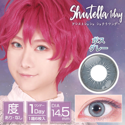 ASSIST CHOUCHOU SHUTELLA 1DAY BOSS GRAY(1BOX 6SHEETS) MAIN IMAGE