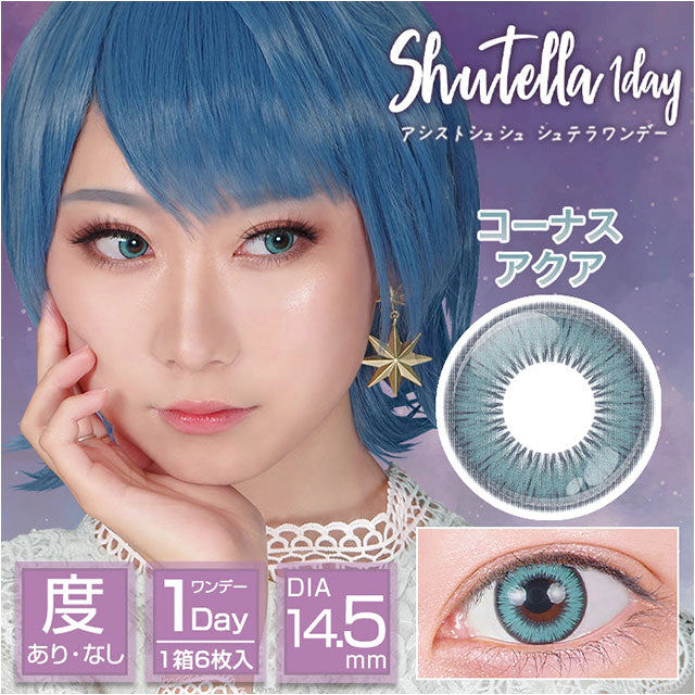 ASSIST CHOUCHOU SHUTELLA 1DAY CORNUS AQUA(1BOX 6SHEETS) MAIN IMAGE