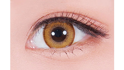 ASSIST CHOUCHOU SHUTELLA 1DAY CARAMEL MARK(1BOX 6SHEETS) 0