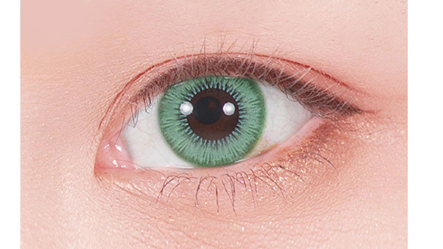 ASSIST CHOUCHOU SHUTELLA 1DAY GO CLOVER(1BOX 6SHEETS) 0