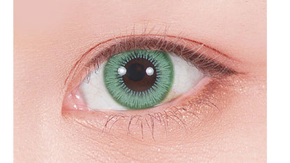 ASSIST CHOUCHOU SHUTELLA 1DAY GO CLOVER(1BOX 6SHEETS) 0