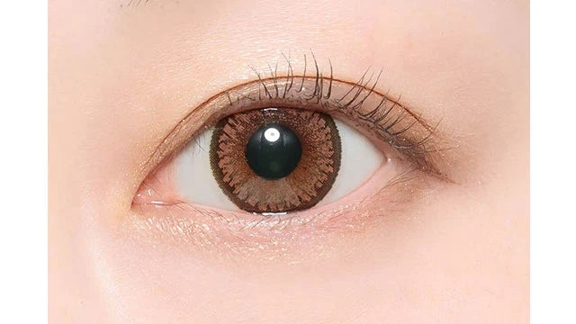 CANDYMAGIC 1MONTH SUGAR BROWN(1BOX 1SHEET) 1