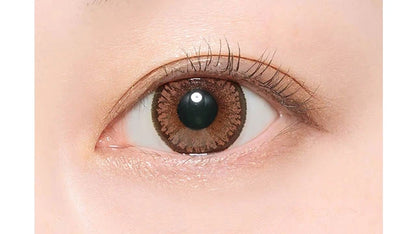 CANDYMAGIC 1MONTH SUGAR BROWN(1BOX 1SHEET) 1