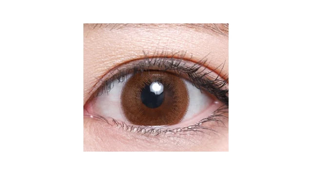 TEAMO 1DAY CIRCLE TYPE BROWN(1BOX 10SHEETS) 0