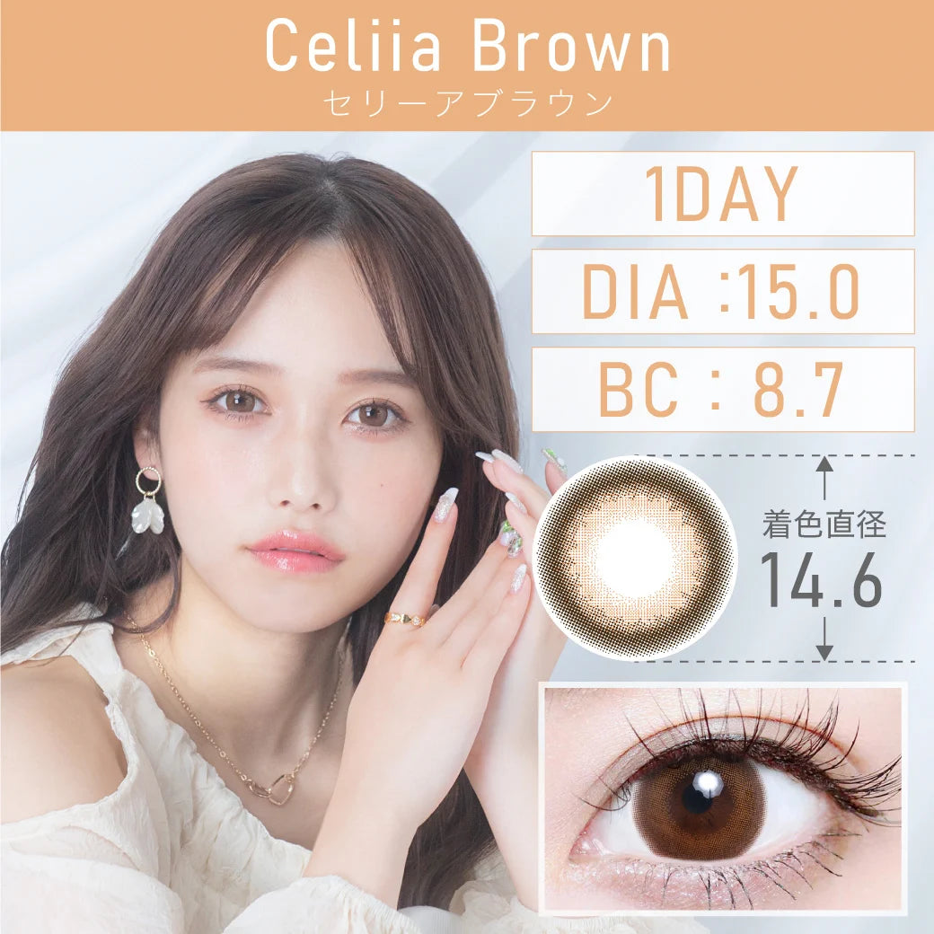 TEAMO 1DAY DEKAME TYPE CELIA BROWN(1BOX 10SHEETS) MAIN IMAGE