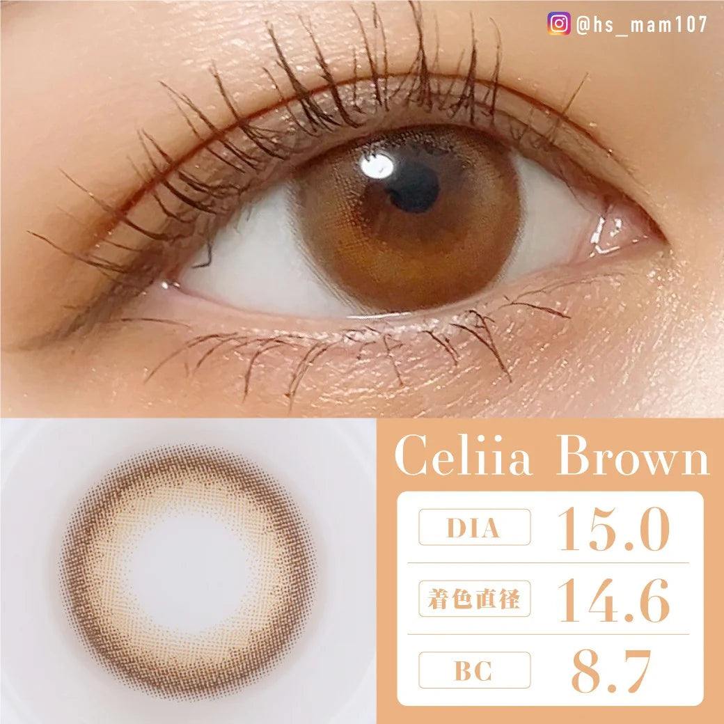 TEAMO 1DAY DEKAME TYPE CELIA BROWN(1BOX 10SHEETS) 0