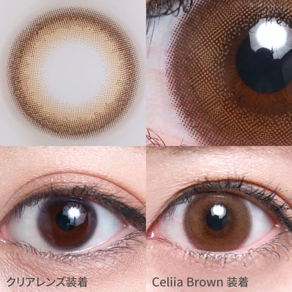 TEAMO 1DAY DEKAME TYPE CELIA BROWN(1BOX 10SHEETS) 1