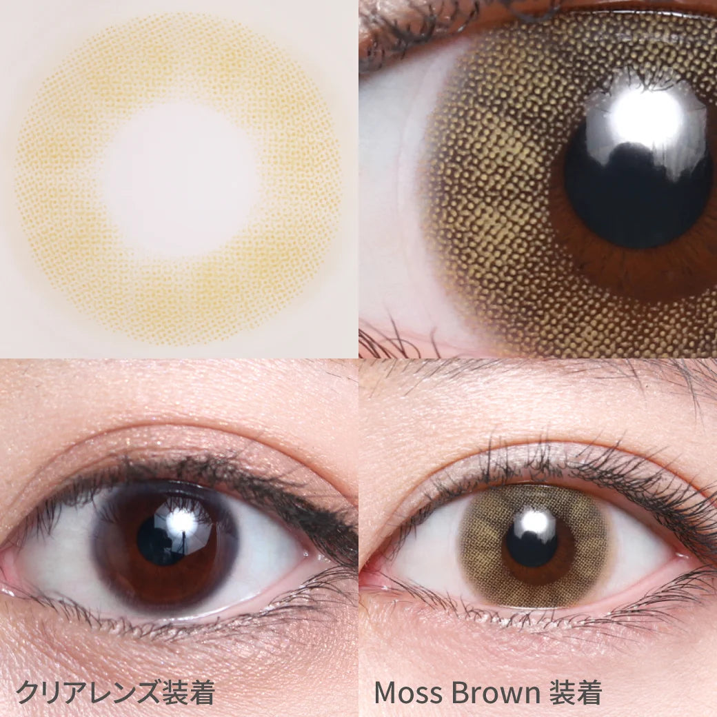 TEAMO 1DAY HALF TYPE MOSS BROWN(1BOX 10SHEETS) 0