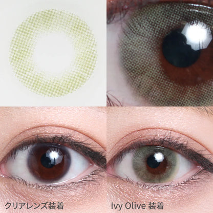 TEAMO 1MONTH AQUERE SERIES IVY OLIVE(1BOX 1SHEET) 0