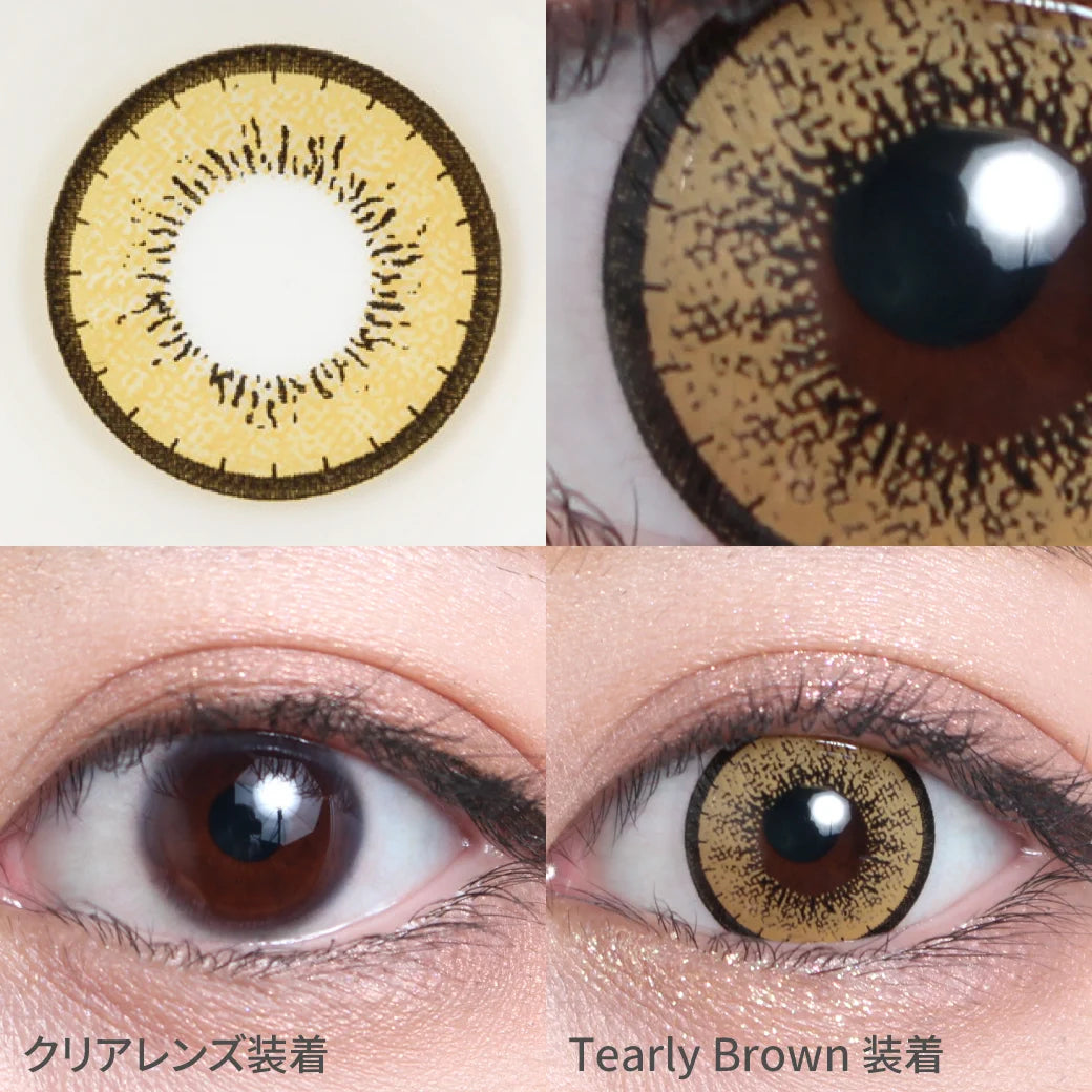 TEAMO 1MONTH CRUSH ME SERIESTEARLY BROWN(1BOX 1SHEET) 0