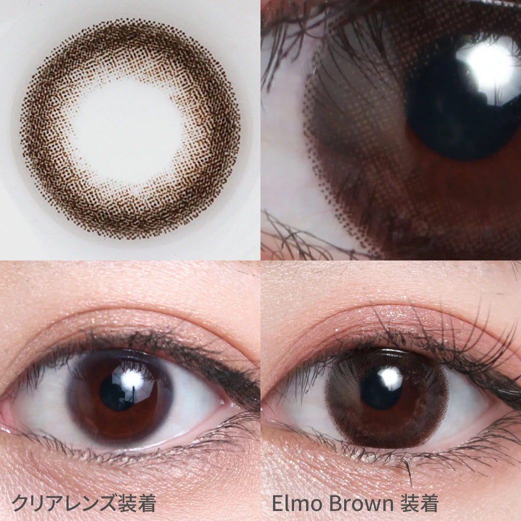 TEAMO 1MONTH BASIC MOOD SERIES ELMO BROWN(1BOX 1SHEET) 0