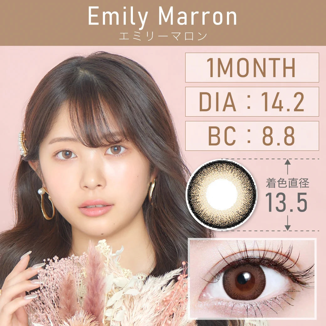 TEAMO 1MONTH NATURAL TYPE EMILY MARRON(1BOX 1SHEET) MAIN IMAGE