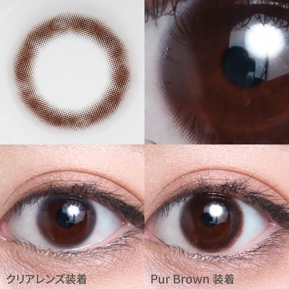 TEAMO 1MONTH BASIC MOOD SERIES PUR BROWN(1BOX 1SHEET) 0