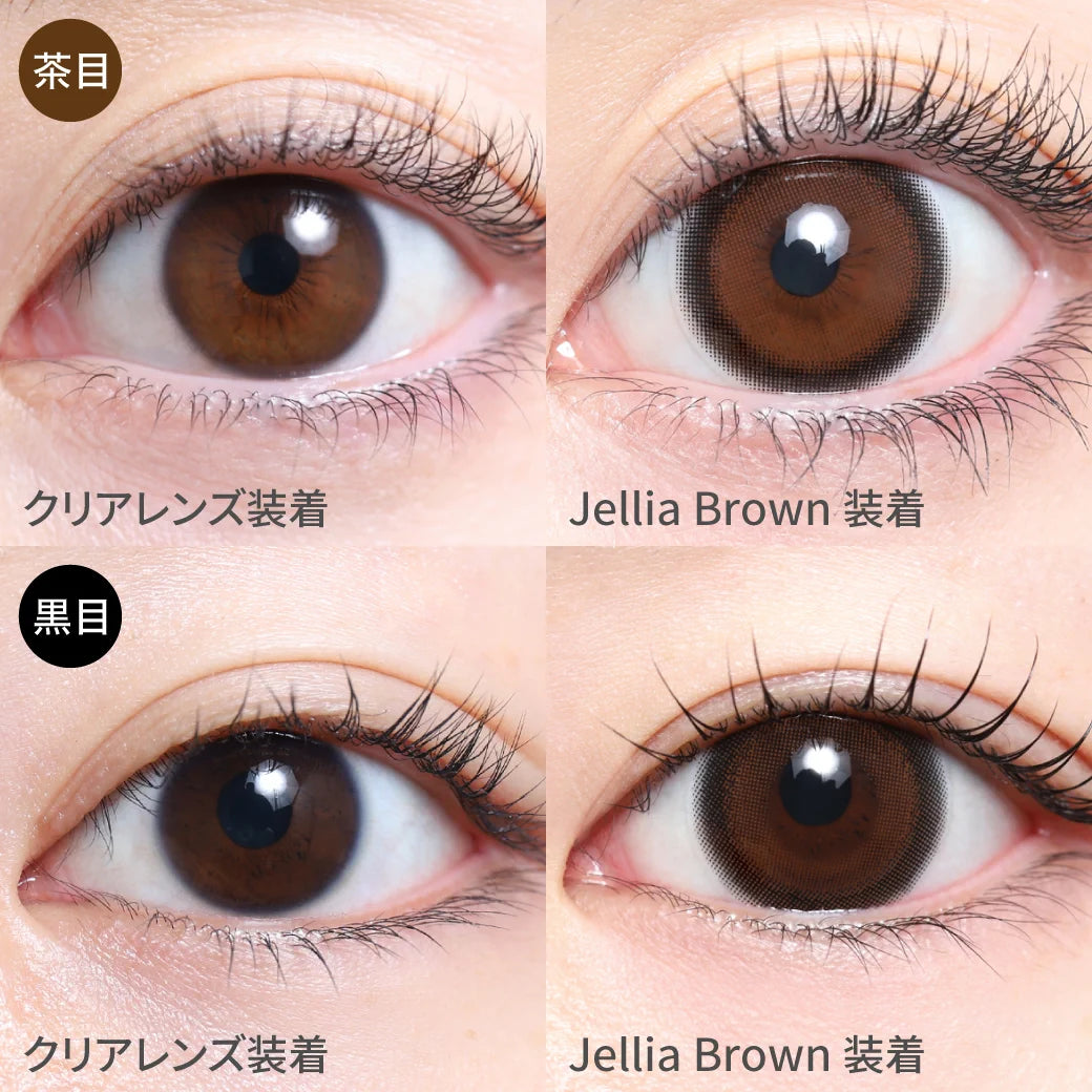 TEAMO 1DAY DEKAME TYPE JELLIA BROWN(1BOX 10SHEETS) 0