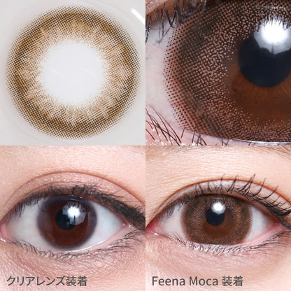 TEAMO 1MONTH ALLURE SEIRES FEENA MOCA(1BOX 1SHEET) 0