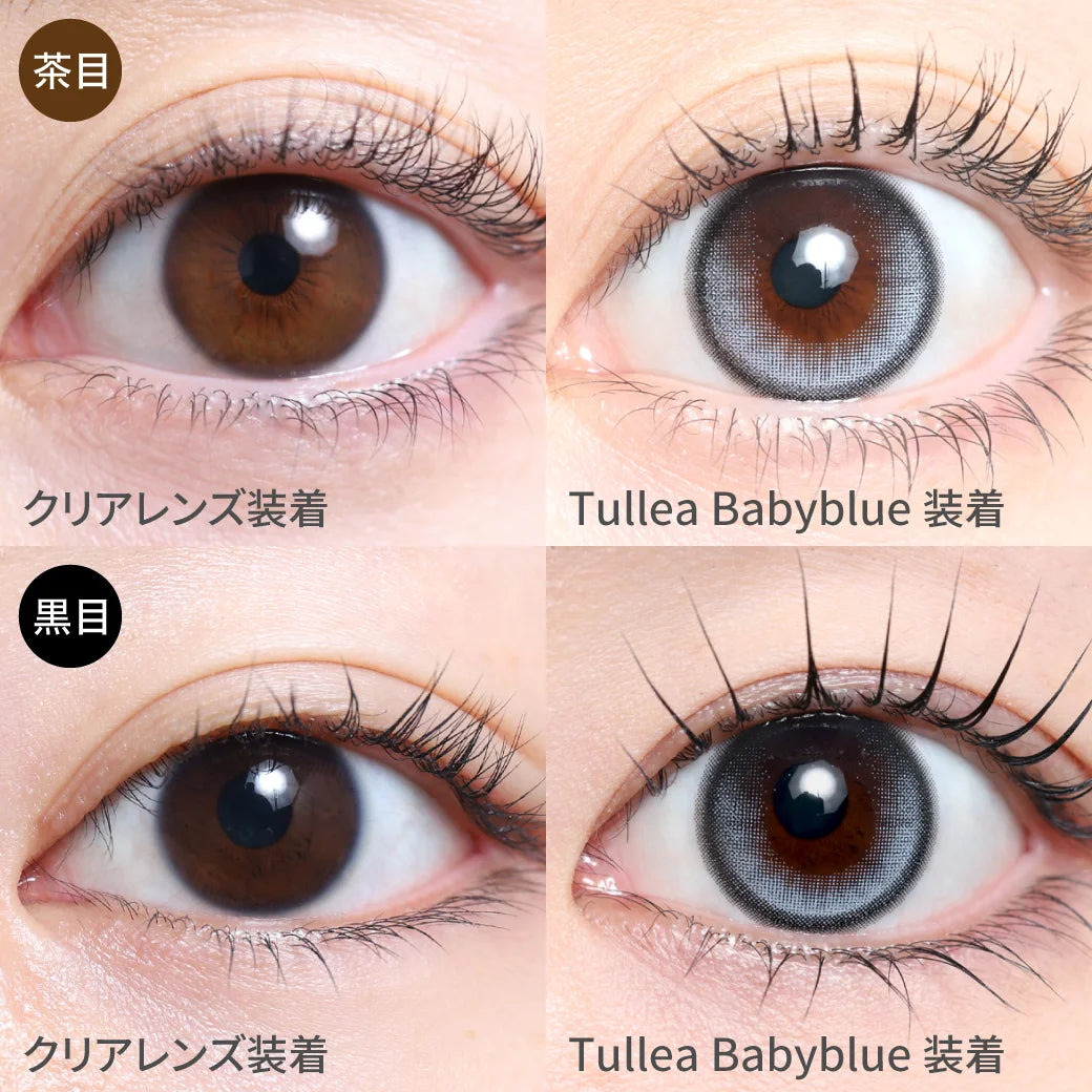 TEAMO 1DAY HALF TYPE TULLEA BABY BLUE(1BOX 10SHEETS) 0