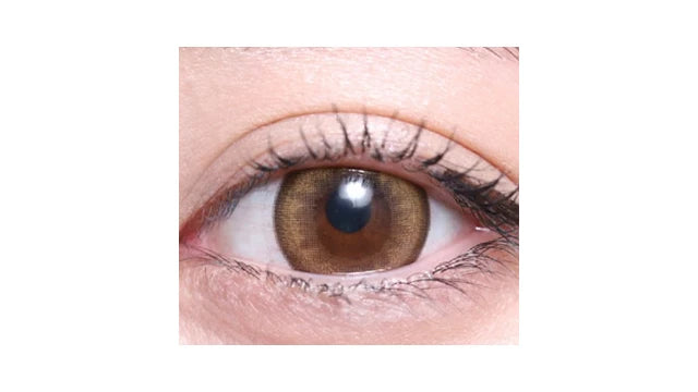 TEAMO 1DAY NATURAL HALF TYPE CHERIMO BEIGE(1BOX 10SHEETS) 0