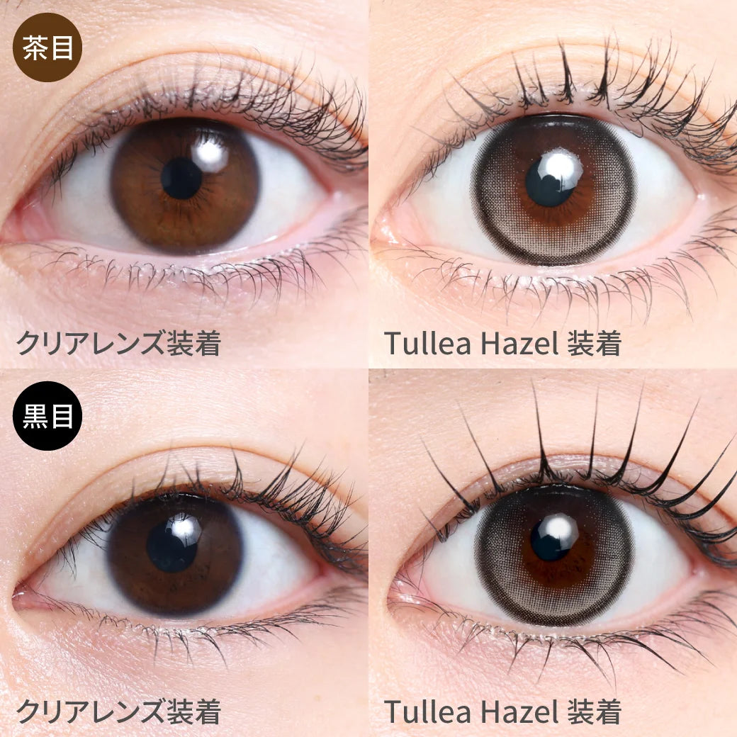 TEAMO 1DAY HALF TYPE TULLEA HAZEL(1BOX 10SHEETS) 0
