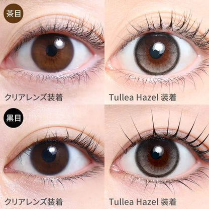 TEAMO 1DAY HALF TYPE TULLEA HAZEL(1BOX 10SHEETS) 0