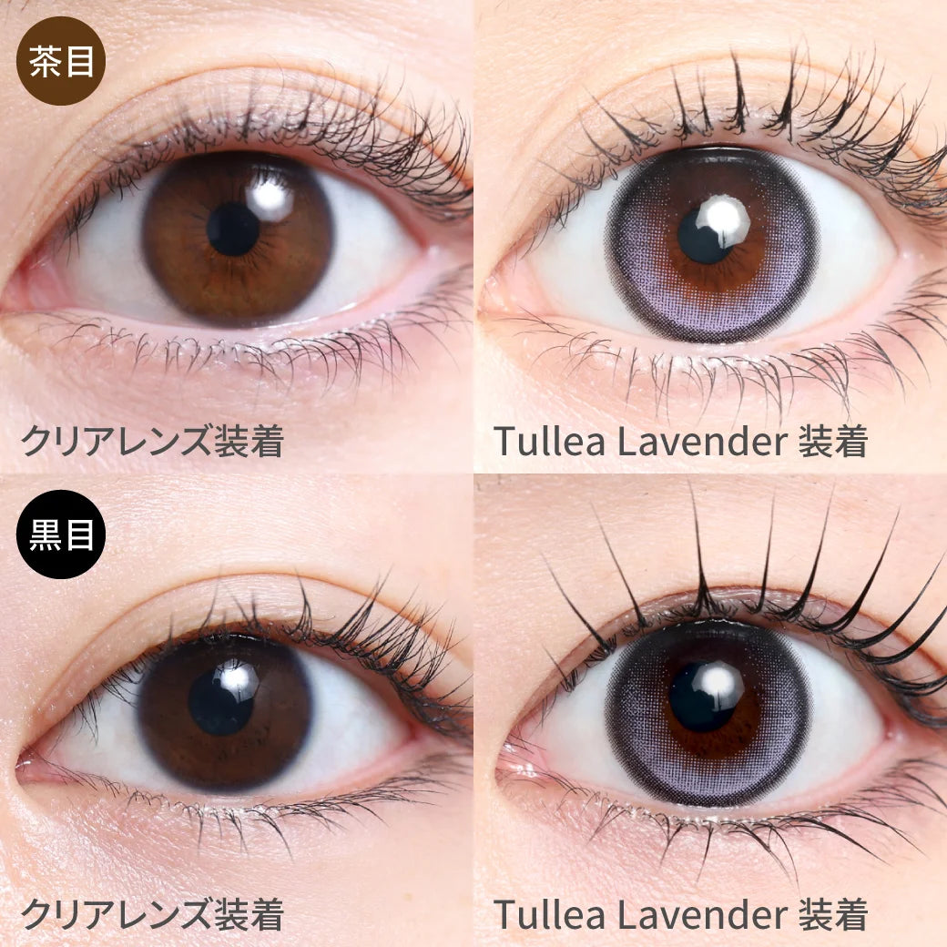 TEAMO 1DAY HALF TYPE TULLEA LAVENDER(1BOX 10SHEETS) 0