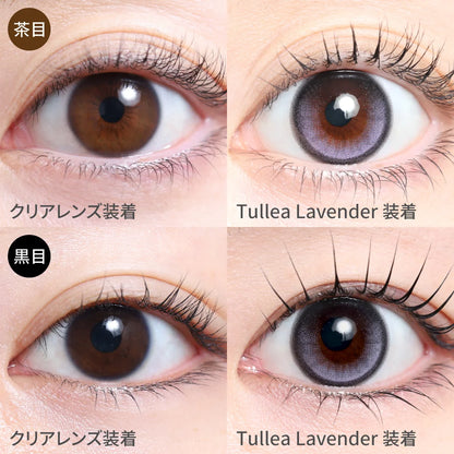 TEAMO 1DAY HALF TYPE TULLEA LAVENDER(1BOX 10SHEETS) 0