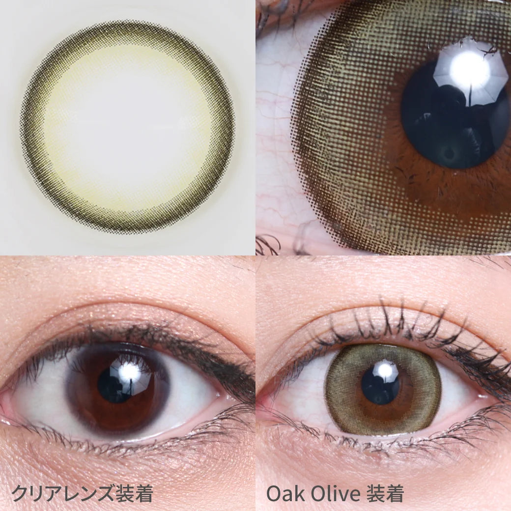 TEAMO 1DAY MELT KISS SERIES OAK OLIVE(1BOX 10SHEETS) 0