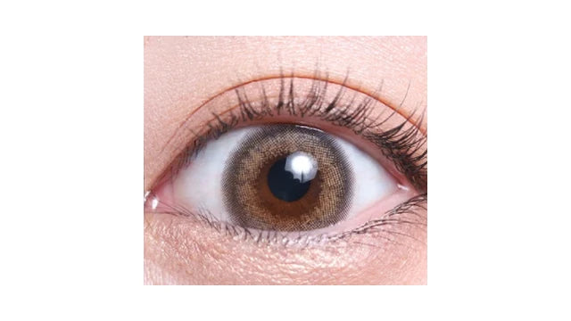 TEAMO 1DAY NATURAL HALF TYPE PUFF BEIGE(1BOX 10SHEETS) 0