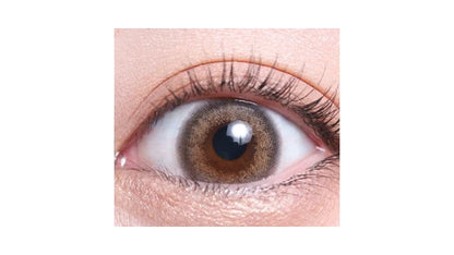 TEAMO 1DAY NATURAL HALF TYPE PUFF BEIGE(1BOX 10SHEETS) 0