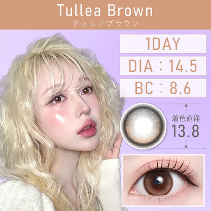 TEAMO 1DAY NATURAL HALF TYPE TULLEA BROWN(1BOX 10SHEETS) MAIN IMAGE