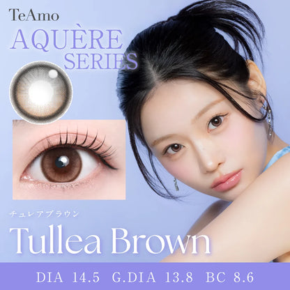 TEAMO 1DAY HALF TYPE TULLEA BROWN(1BOX 10SHEETS) MAIN IMAGE